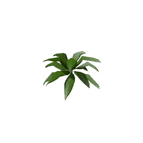 Tropical Plant 1 (Type 2)